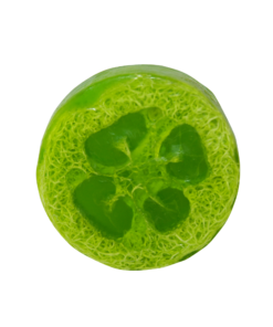 Loofah Soap Bar