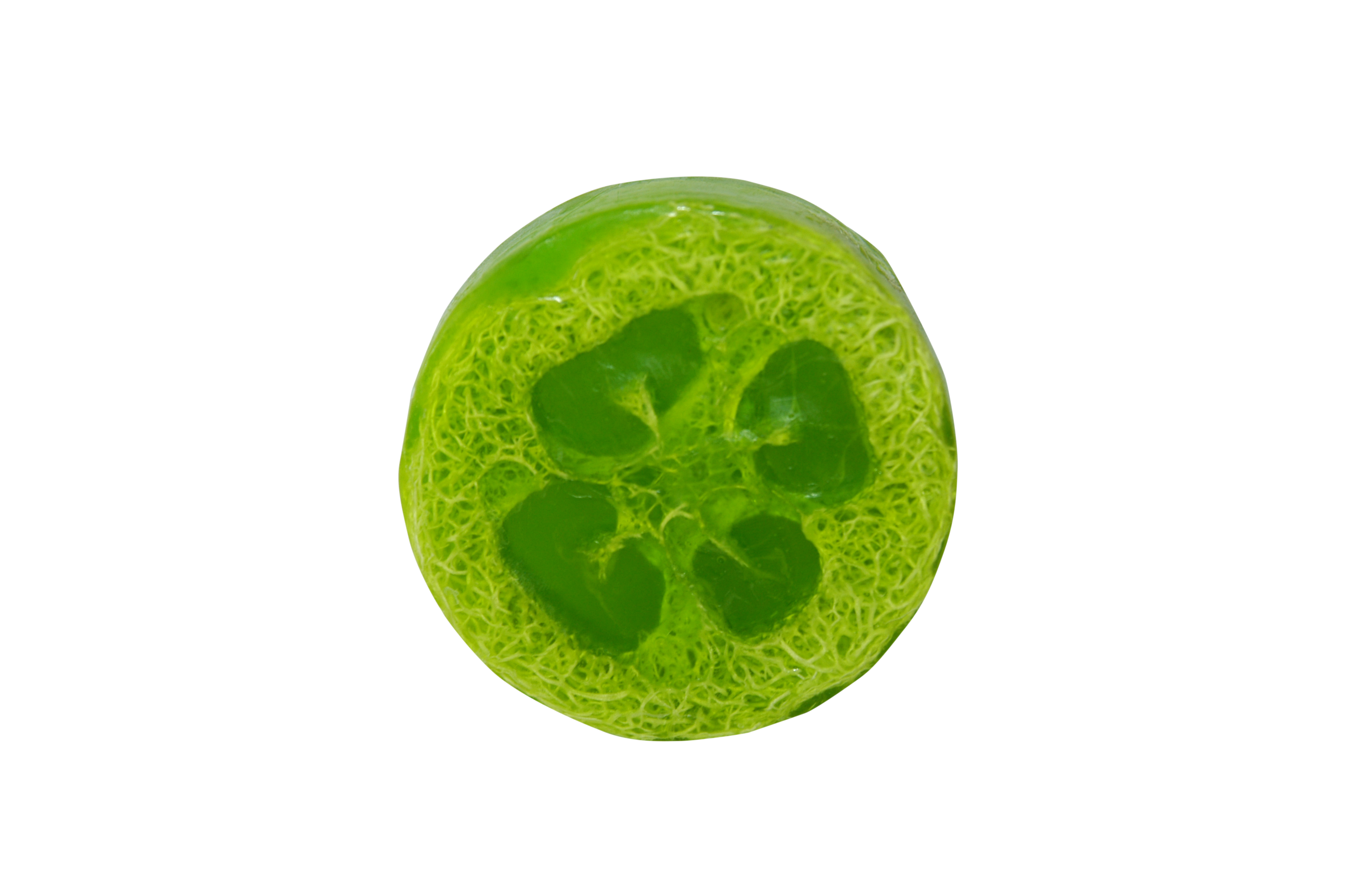 Loofah Soap Bar 6 Loofah Soap Bar
