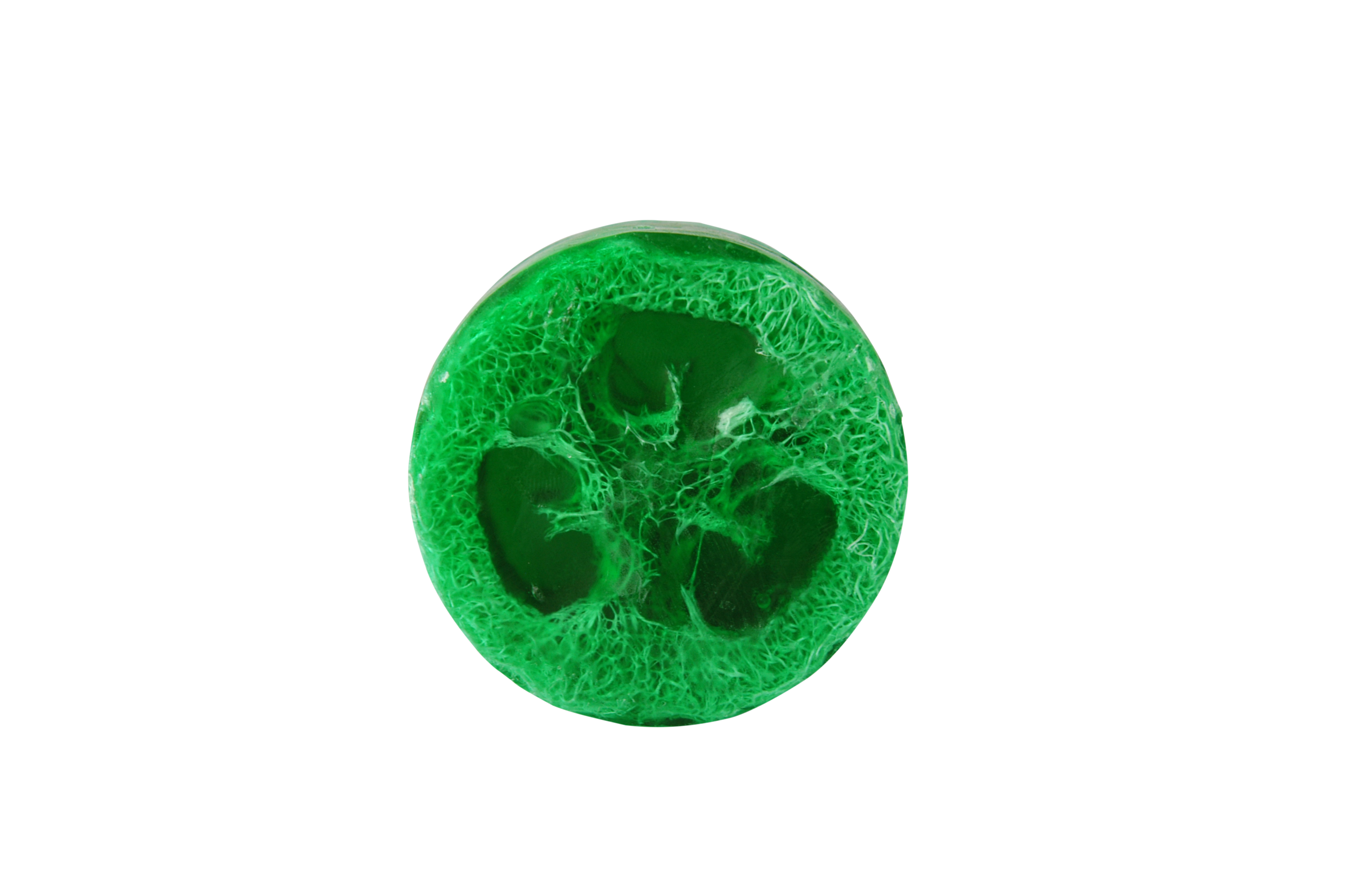 Loofah Soap Bar 5 Loofah Soap Bar