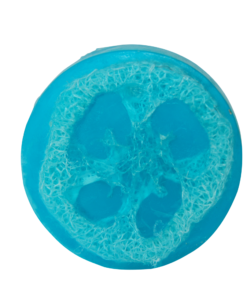 Loofah Soap Bar