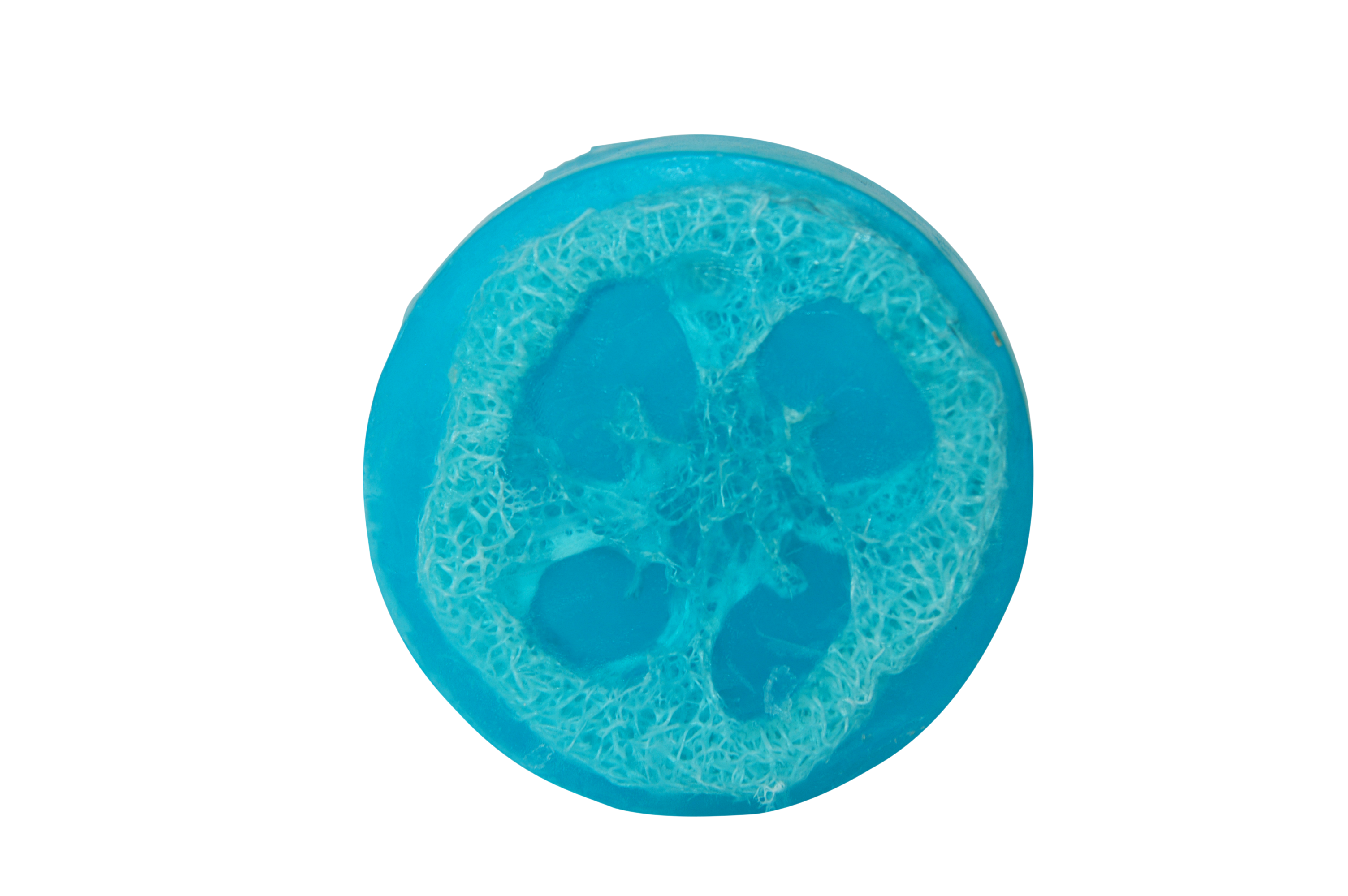Loofah Soap Bar 2 Loofah Soap Bar